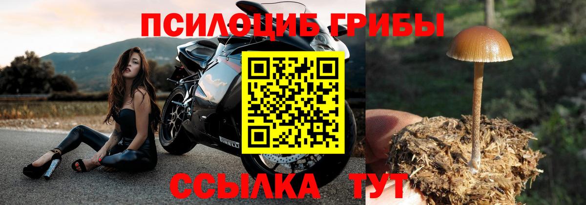 Сланцы  Галлюциногенные грибы мицелий  Вход с VPN 