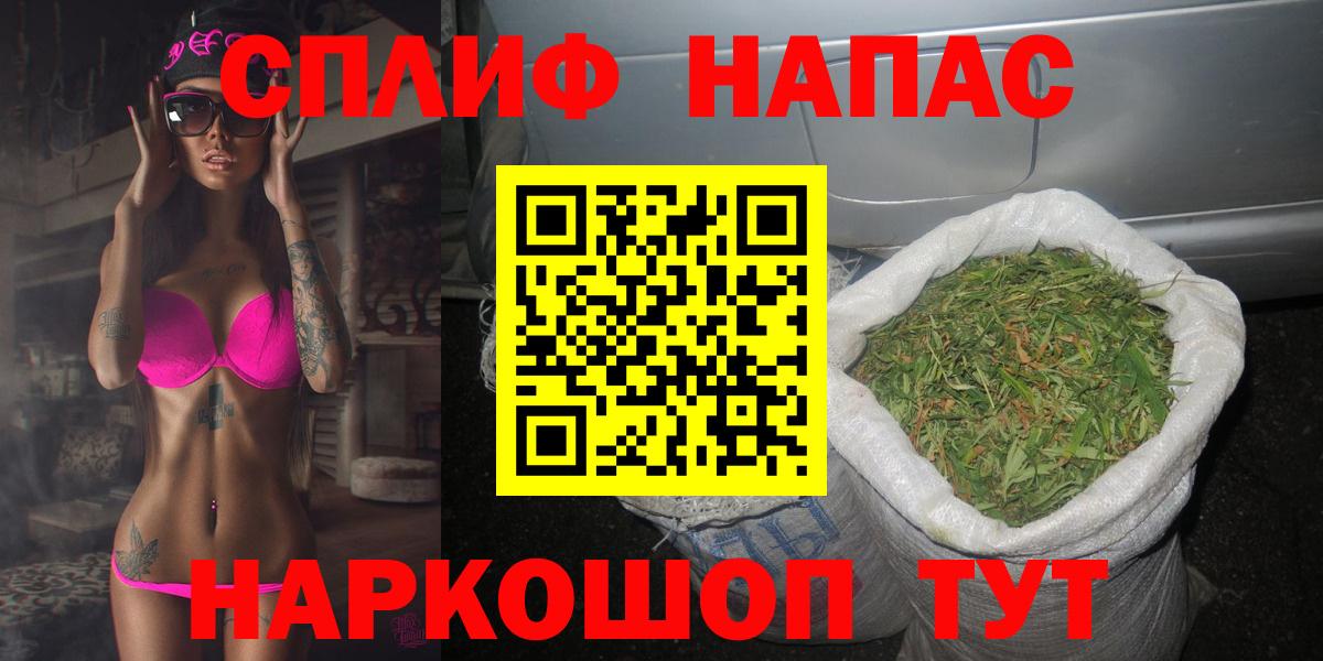 Канабис семена Сланцы